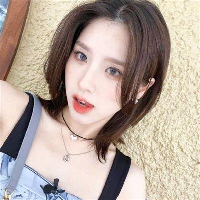 万紫千红花弄蝶